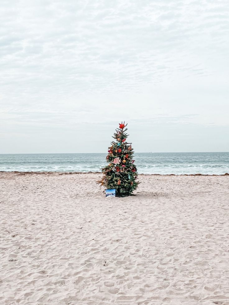 THE CHRISTMAS COLLECTION