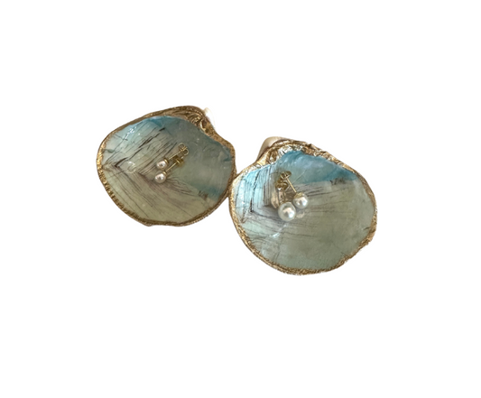 Clam Shell with Gold Pearl Earrings