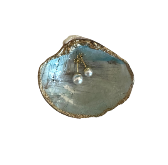 Clam Shell with Gold Pearl Earrings